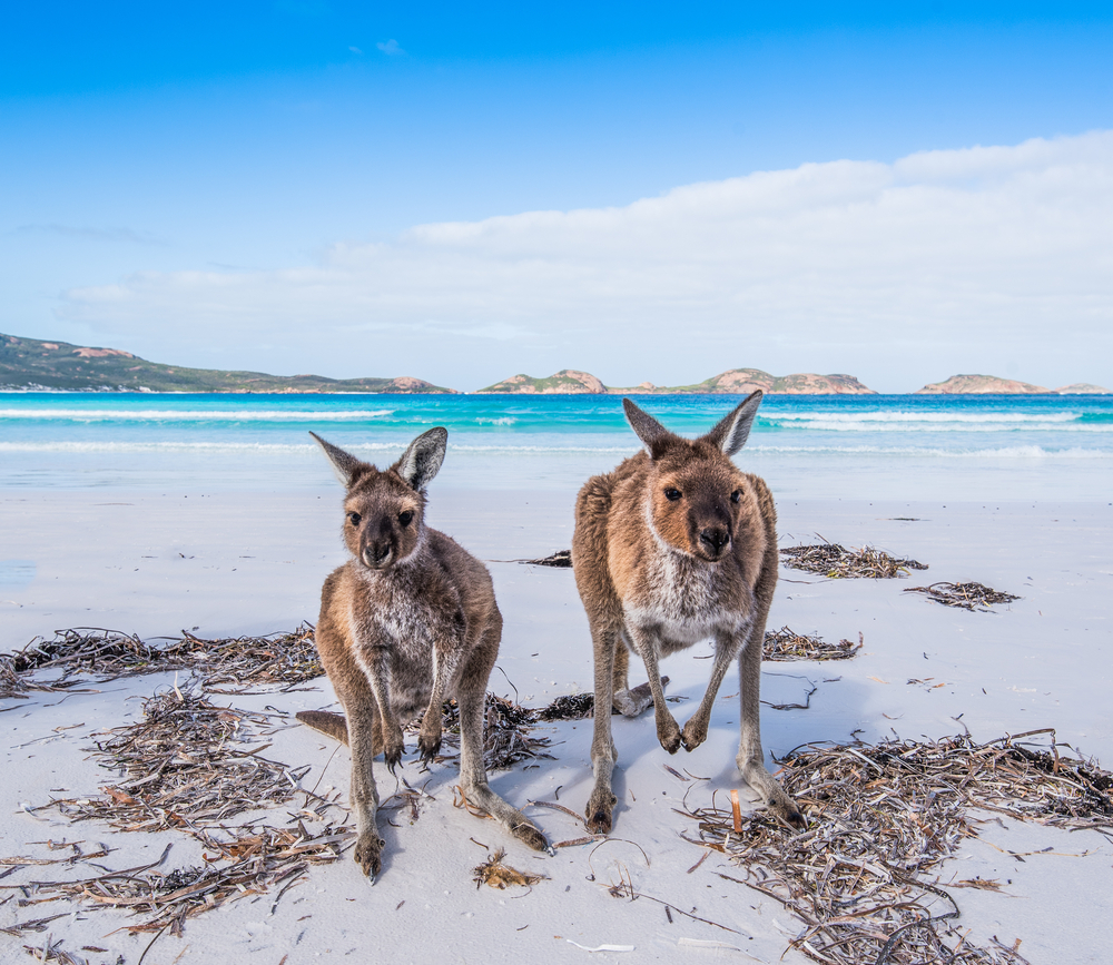 Southern Ocean Lodge – Kangaroo Island, Australia